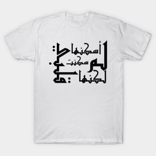 Palestine T-Shirt